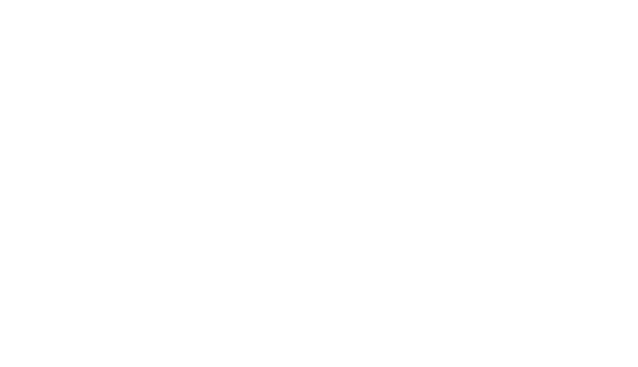 Brigadelis