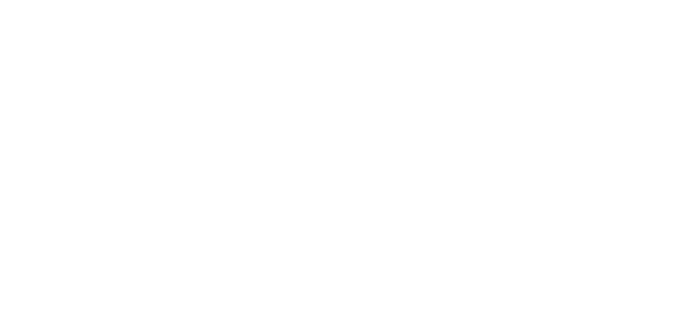 Diniz Bike