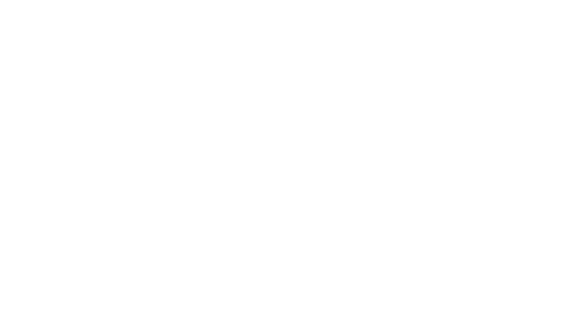 Gran Valise
