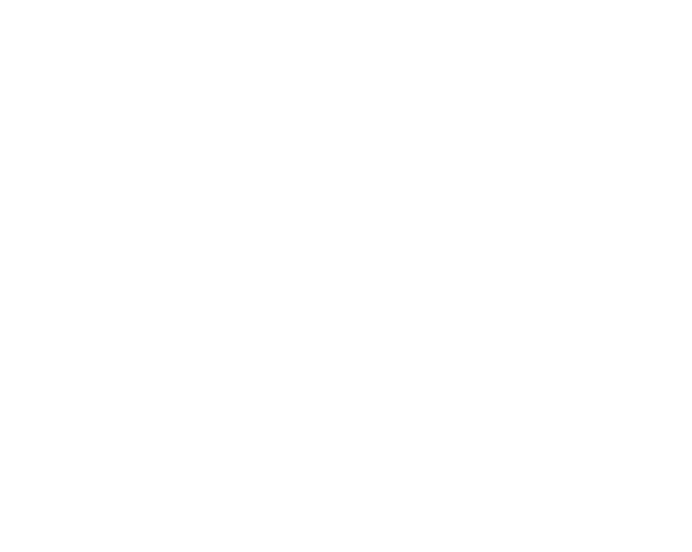 Cece's Bag