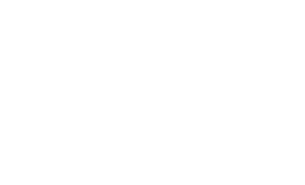 Nicolletti Corretora de Seguros